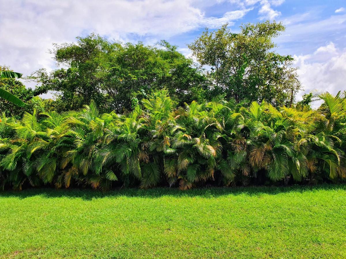 Villa Ohana Sainte-Anne  Exterior foto
